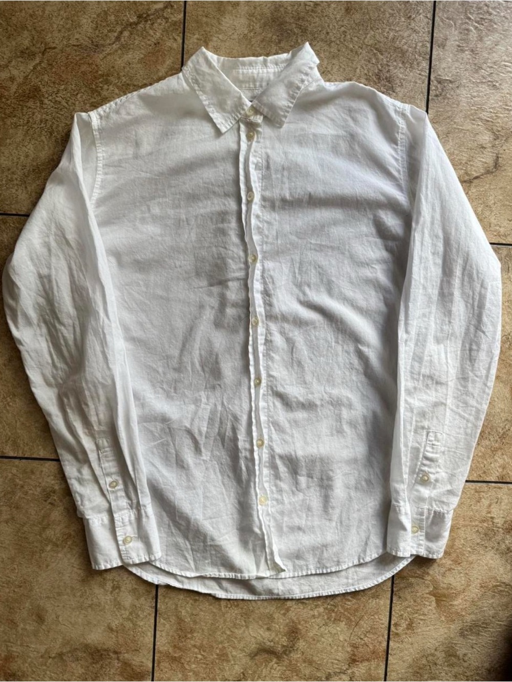 Everlane White Cotton Casual Button-Down Shirt